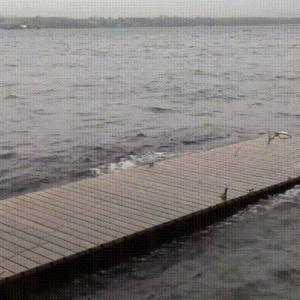 Preview thumbnail for [Xpost from /r/oddlysatisfying] Waves on a dock image