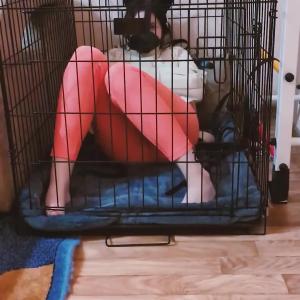 Preview thumbnail for Opening the cage with my feet wasn’t the hard part. Staying on my feet? Not so much [OC image