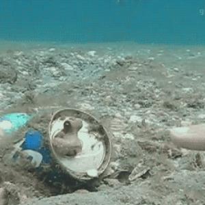 Preview thumbnail for MaN gEtS dEsTrOyEd By SeA MoNsTrOsItY (x-post from r/aww)