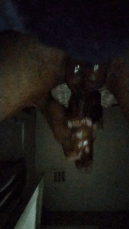Image for M33 I Just Wanna Rub Some Titties &amp; Nice 🍑 While Getting My 🍆 Massaged. Is That Too Much To Ask?