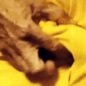 Preview thumbnail for When the running shorts get runny [57]