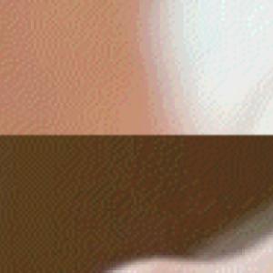 Preview thumbnail for Warning: Prolonged exposure may cause obsession.