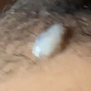 Preview thumbnail for 33 M4A asian guy looking to swap heads in Lakewood/Golden image