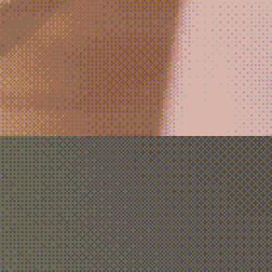 Preview thumbnail for a small asian is here! 🌸 image