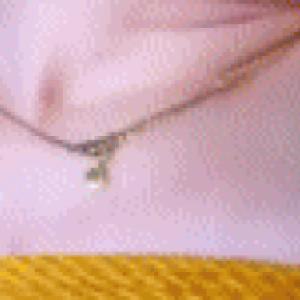 Preview thumbnail for I told you not to enter my house. image