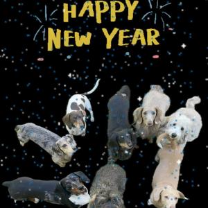 Preview thumbnail for Happy New Year