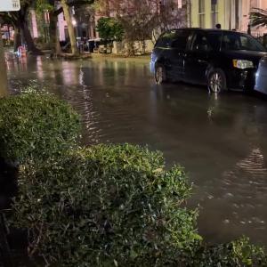 Preview thumbnail for What is damp may never dry! Willow and Audubon flood footage